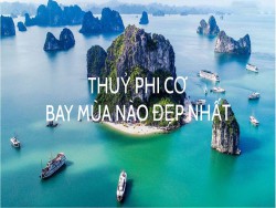 Thời điểm bay thủy phi cơ tốt nhất năm